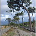 Chemin de fer de la Corse