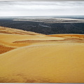dune-pyla1
