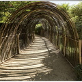 Tunnel en bambou