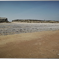 Juno-beach2