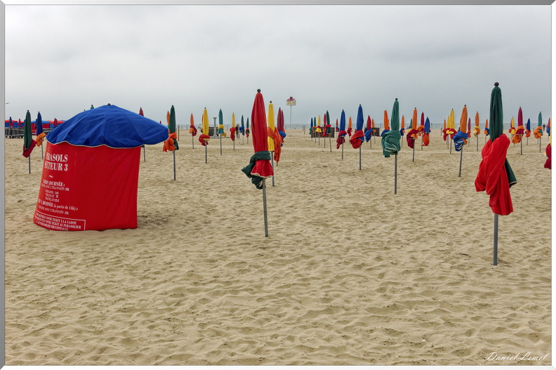 Les parasols de Deauville