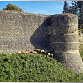 Muraille-medievale-du-chateau