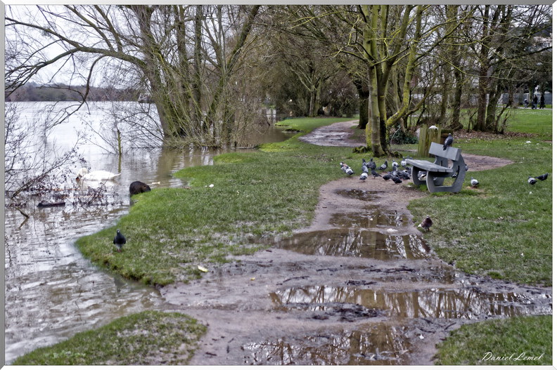 Bord de seine à Vernon