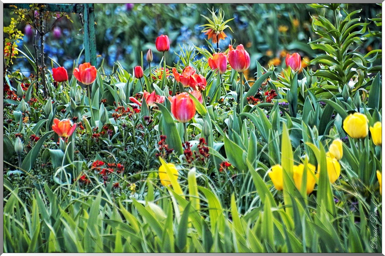 Les-jardins-de-la-maison-de-Monet-28.jpg
