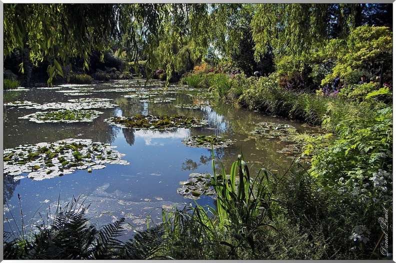 Les-jardins-de-la-maison-de-Monet-45.jpg