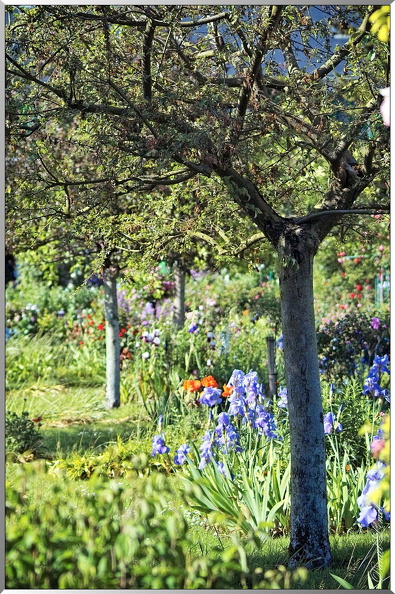 Les-jardins-de-la-maison-de-Monet-51.jpg