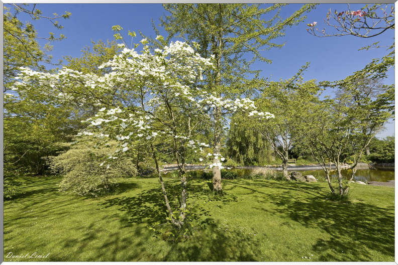 Offranville - Le parc floral William Farcy
