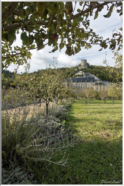 Potager-Fruitier du Château de La Roche-Guyon