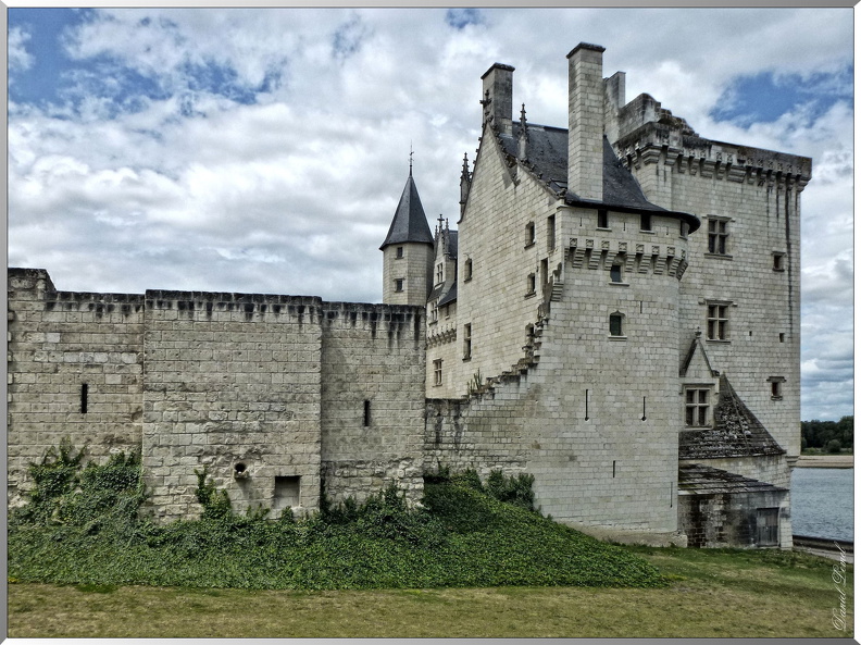 Chateau-de-Montsoreau-1.jpg