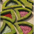 Detail-du-jardin-d-ornement
