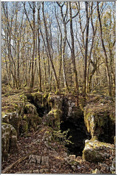 Foret-des-Moidons-Grottes1