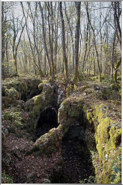 Foret-des-Moidons-Grottes2