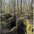Foret-des-Moidons-Grottes2