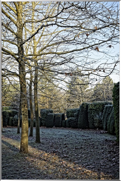 Arboretum - La Roche-Guyon