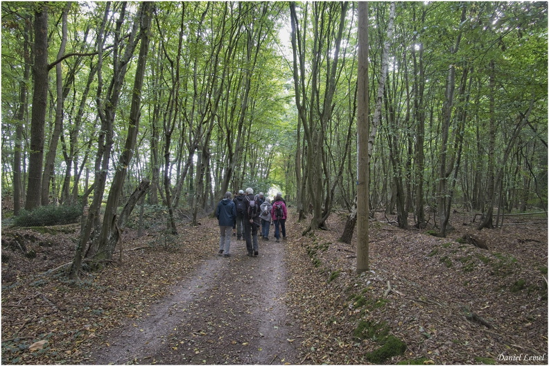  Bois-Jérôme-St-Ouen