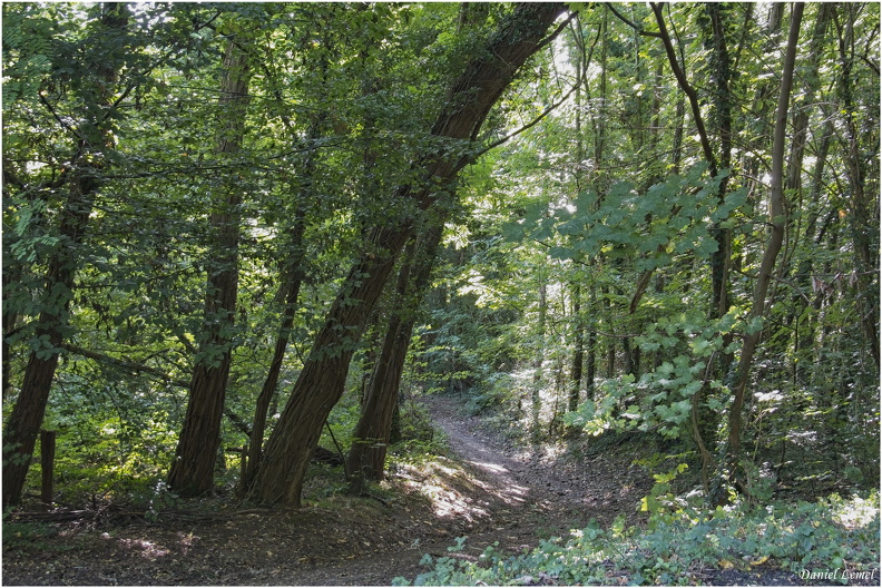 Saint-Just
