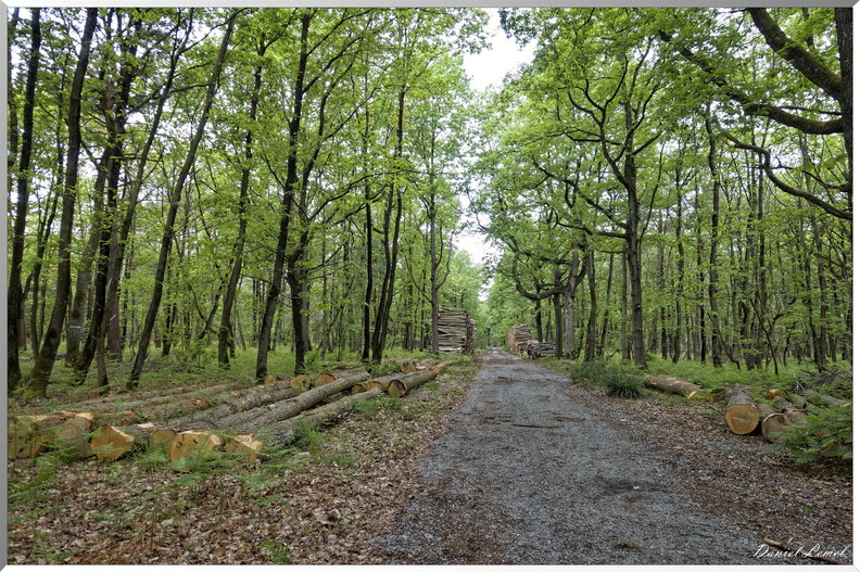 Saint-Pierre-de-Bailleul