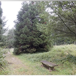 4.20-09-2021-Arboretum-de-la-Roche-Guyon