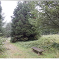 Arborétum de la Roche-Guyon