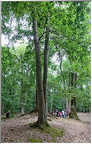 Forêt de Bizy - Vernon