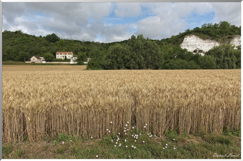 Gommecourt