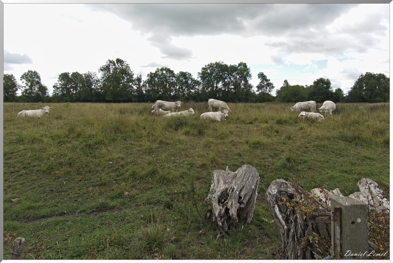 Gommecourt