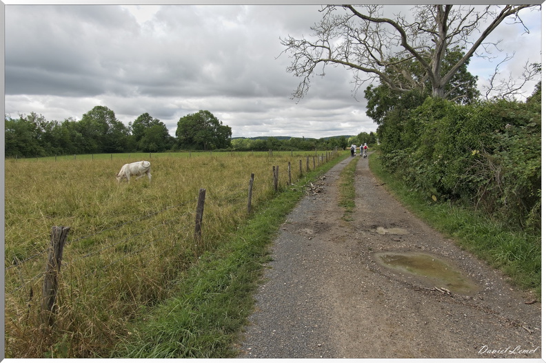 Gommecourt