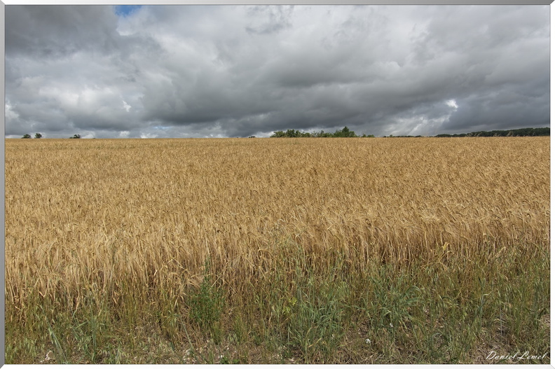 Gommecourt