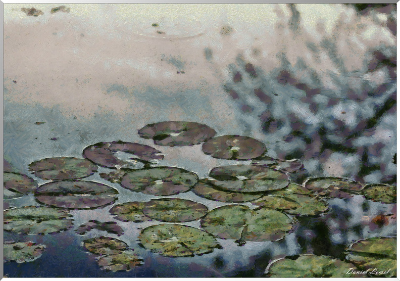 Etang - Claude Monet - Les nénuphars