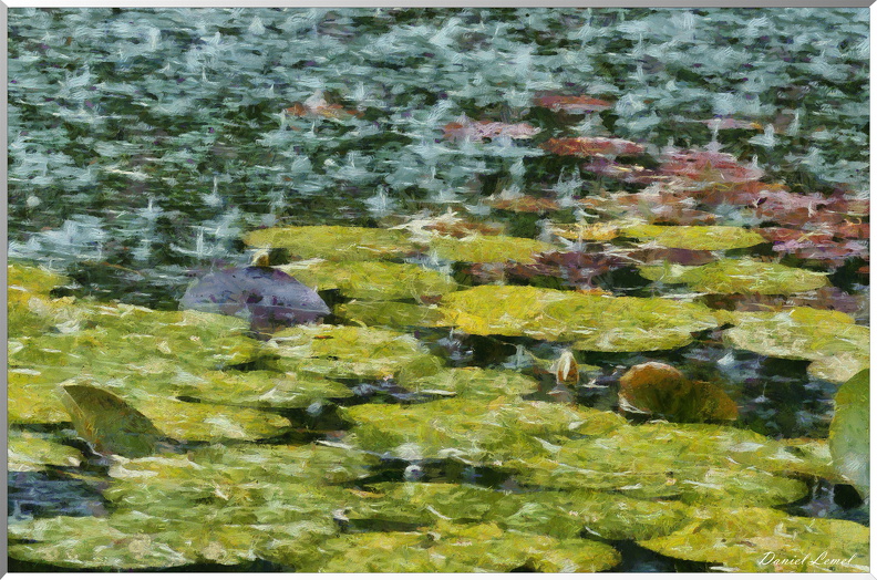 Etang - Claude Monet - sous la pluie