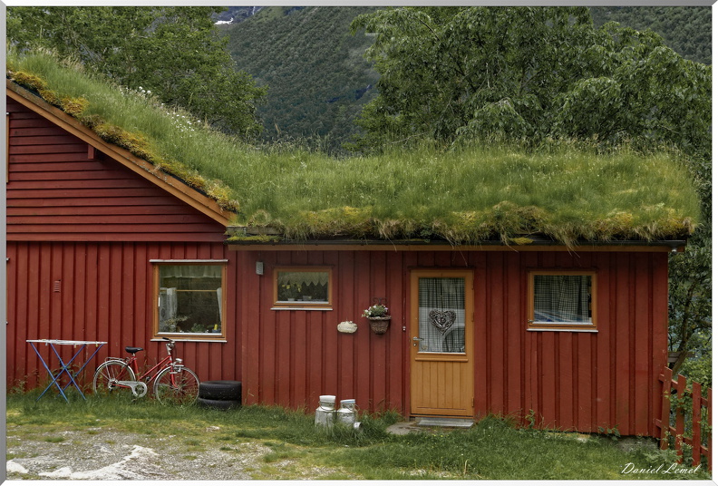 Le lac Lofvatnet - Maison toiture herbe
