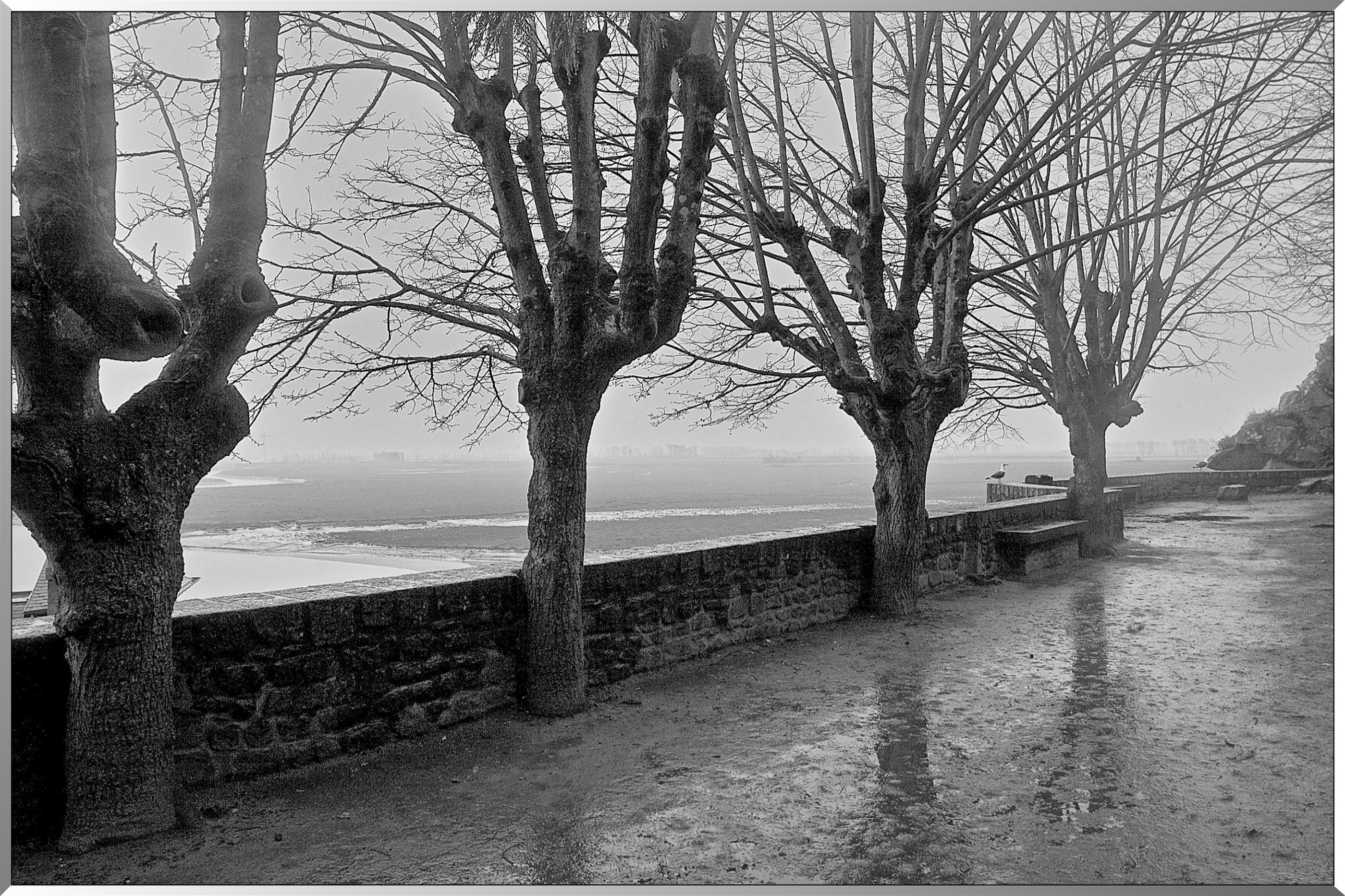 Sous la pluie - Mont-Saint-Michel