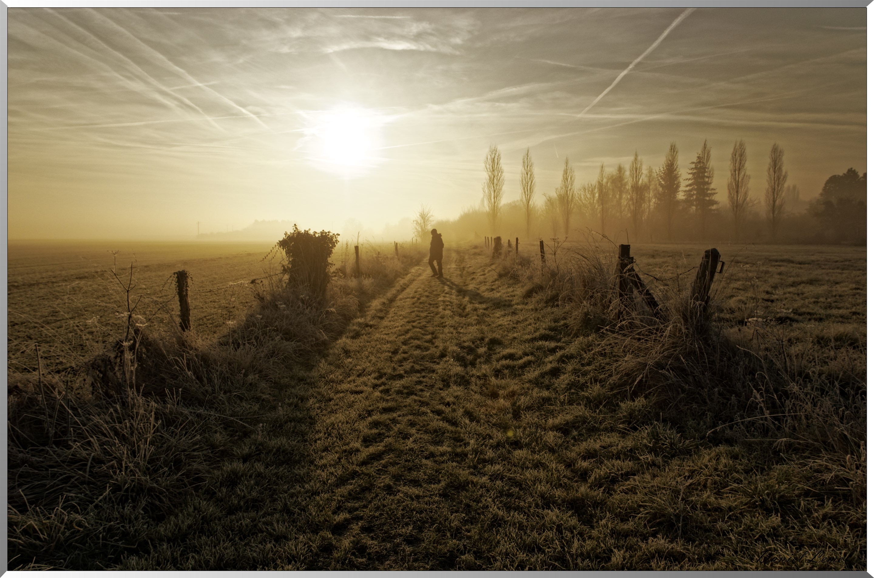 Ballade au petit matin