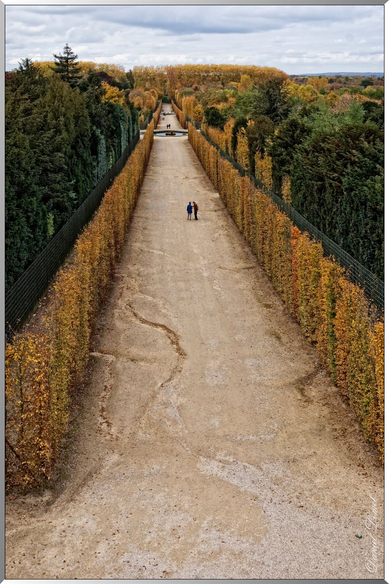 Allée - Jardin château de Versailles