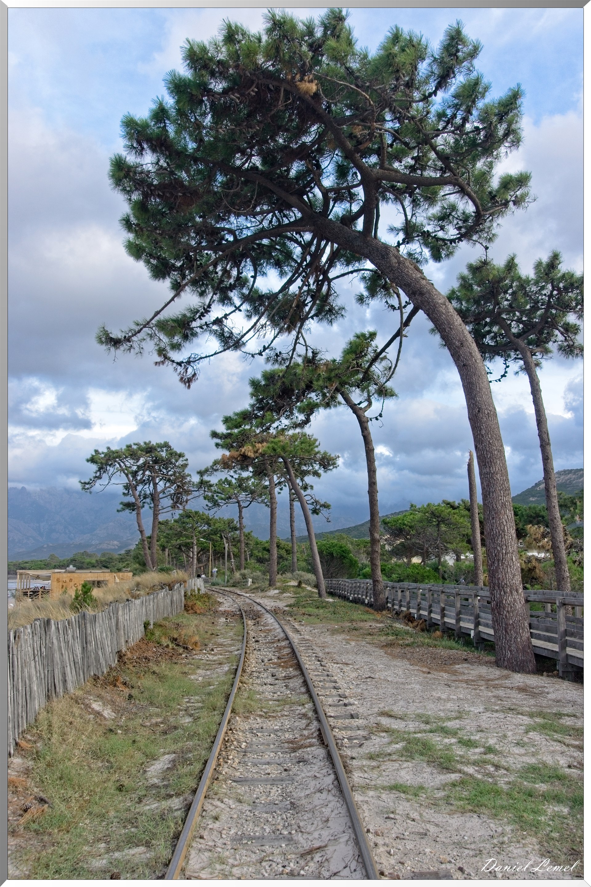 Chemin de fer de la Corse