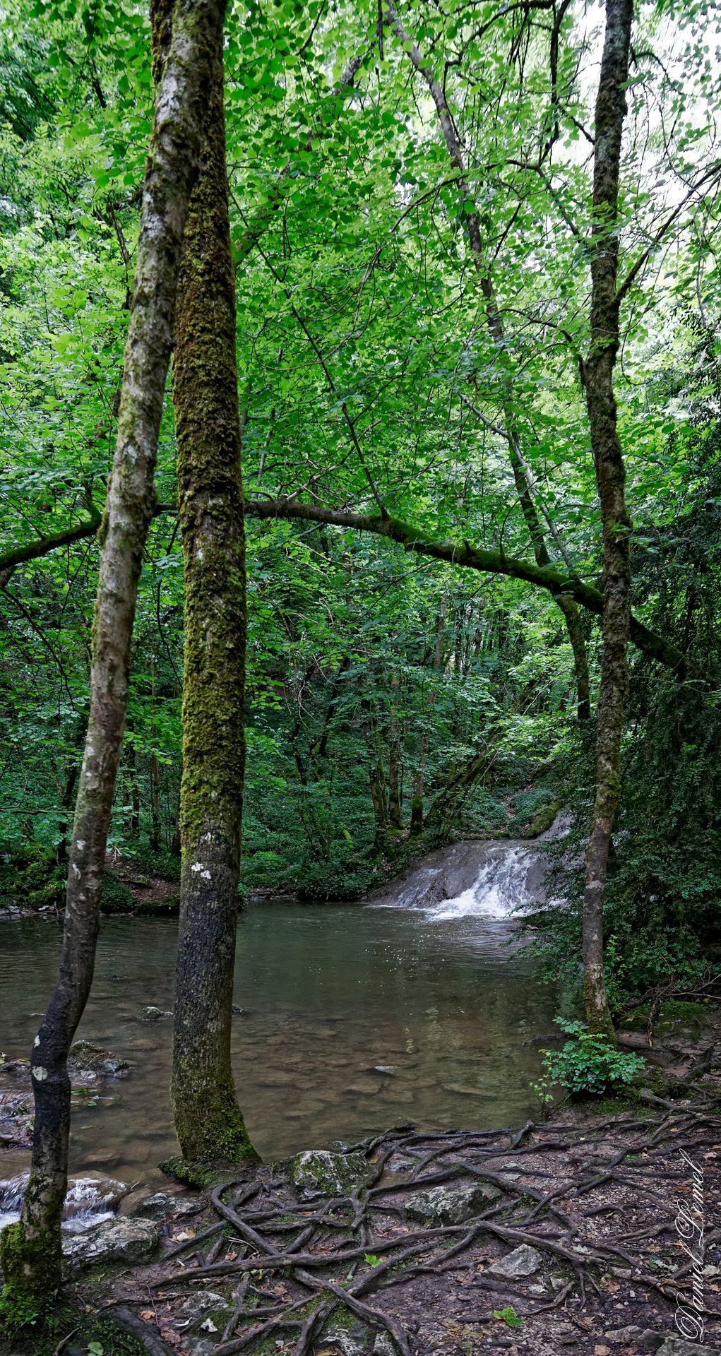 La fin de la cascade