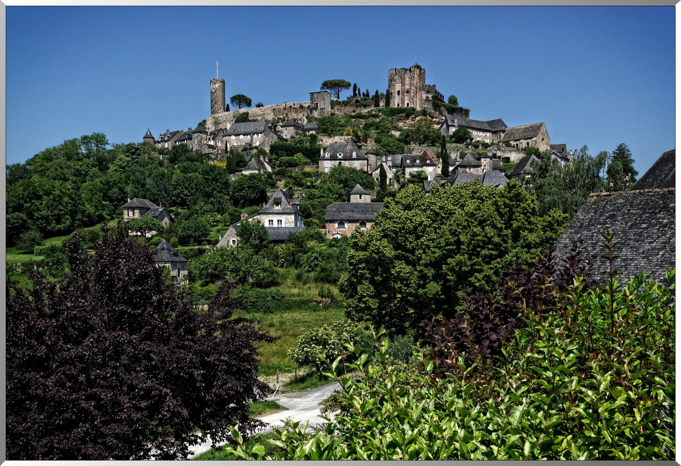 Vue d'ensemble du château