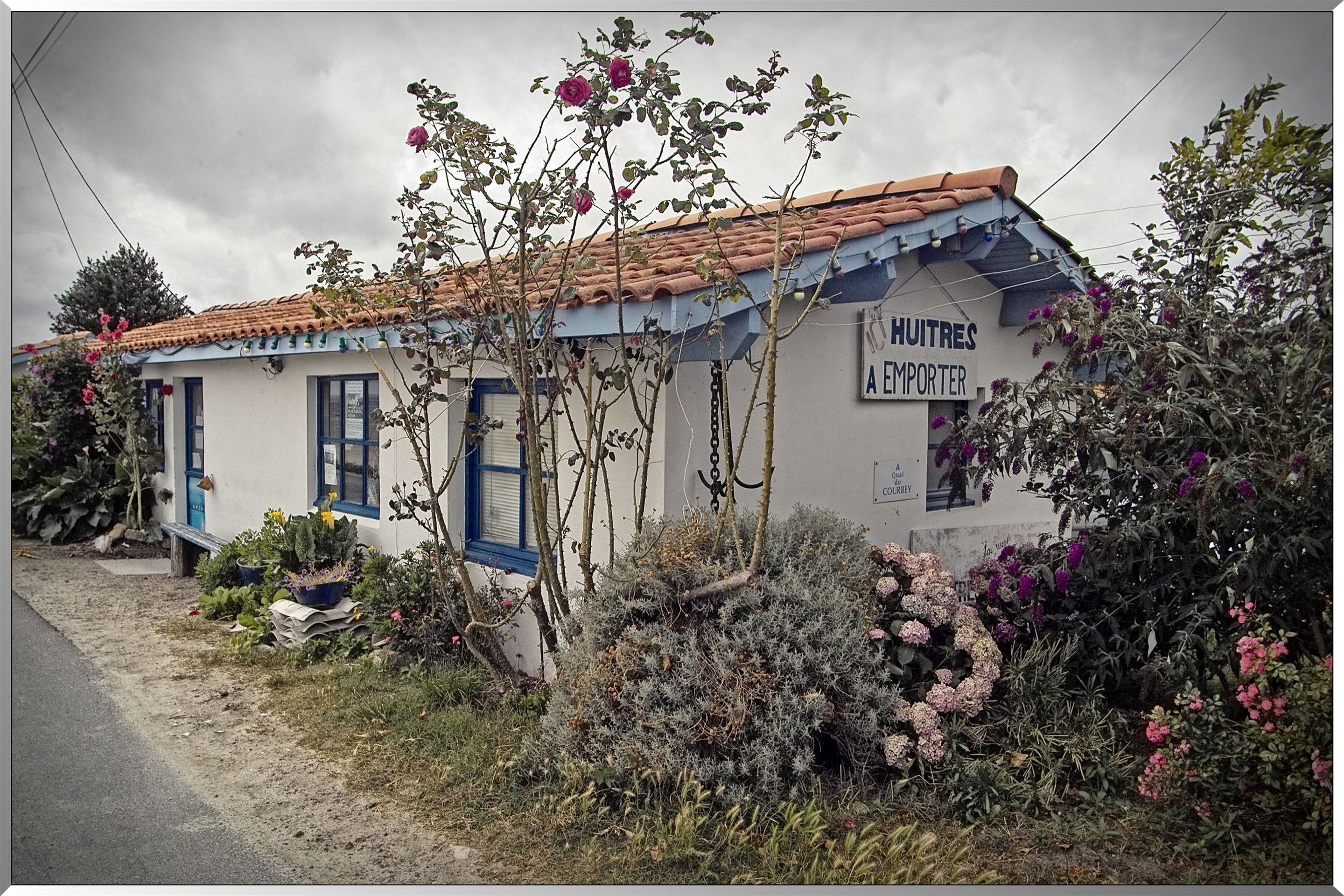 village ostréicole au Cap-Ferret