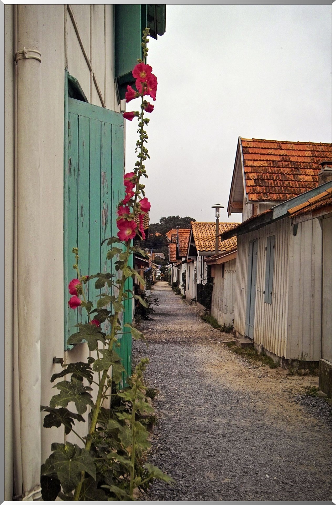 village ostréicole au Cap-Ferret