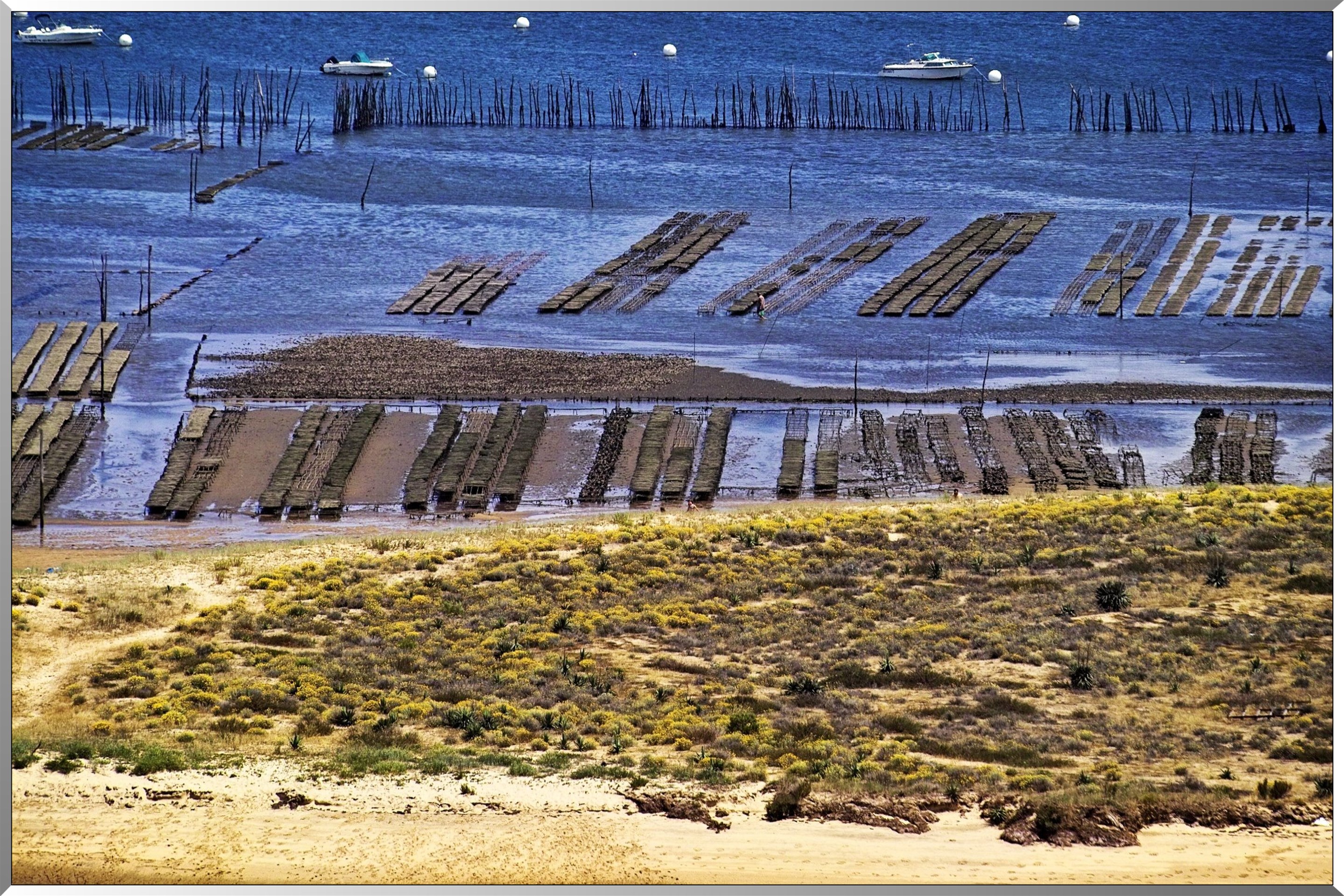 vue du parc ostréicole