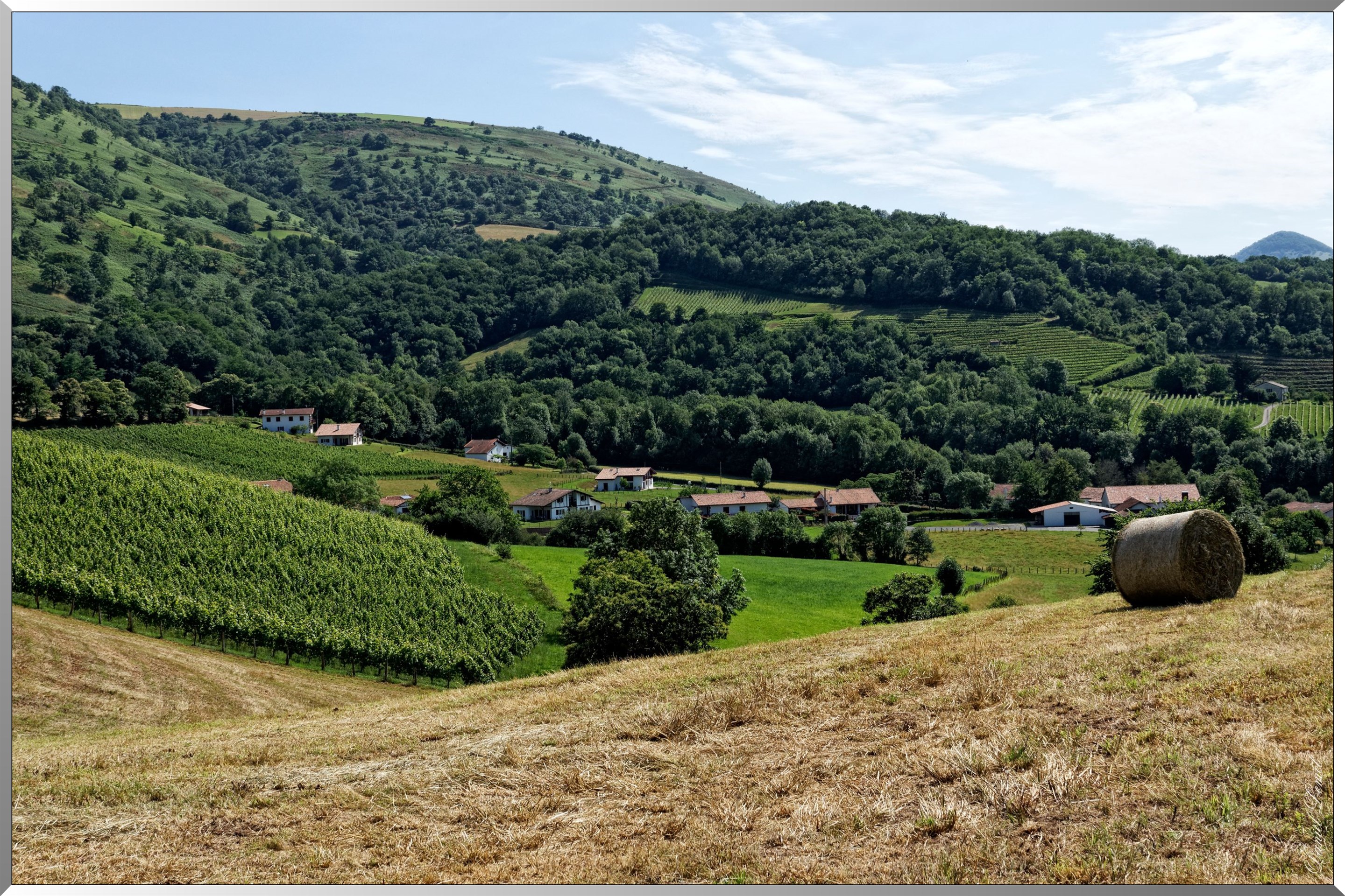 Environ d' Irouléguy