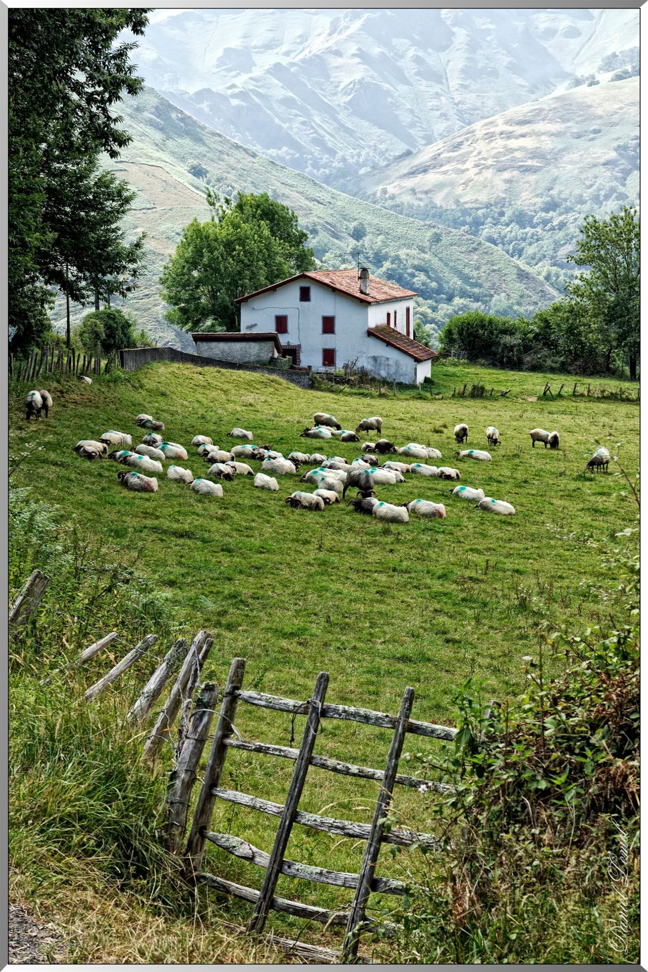 Paysage aux alentours