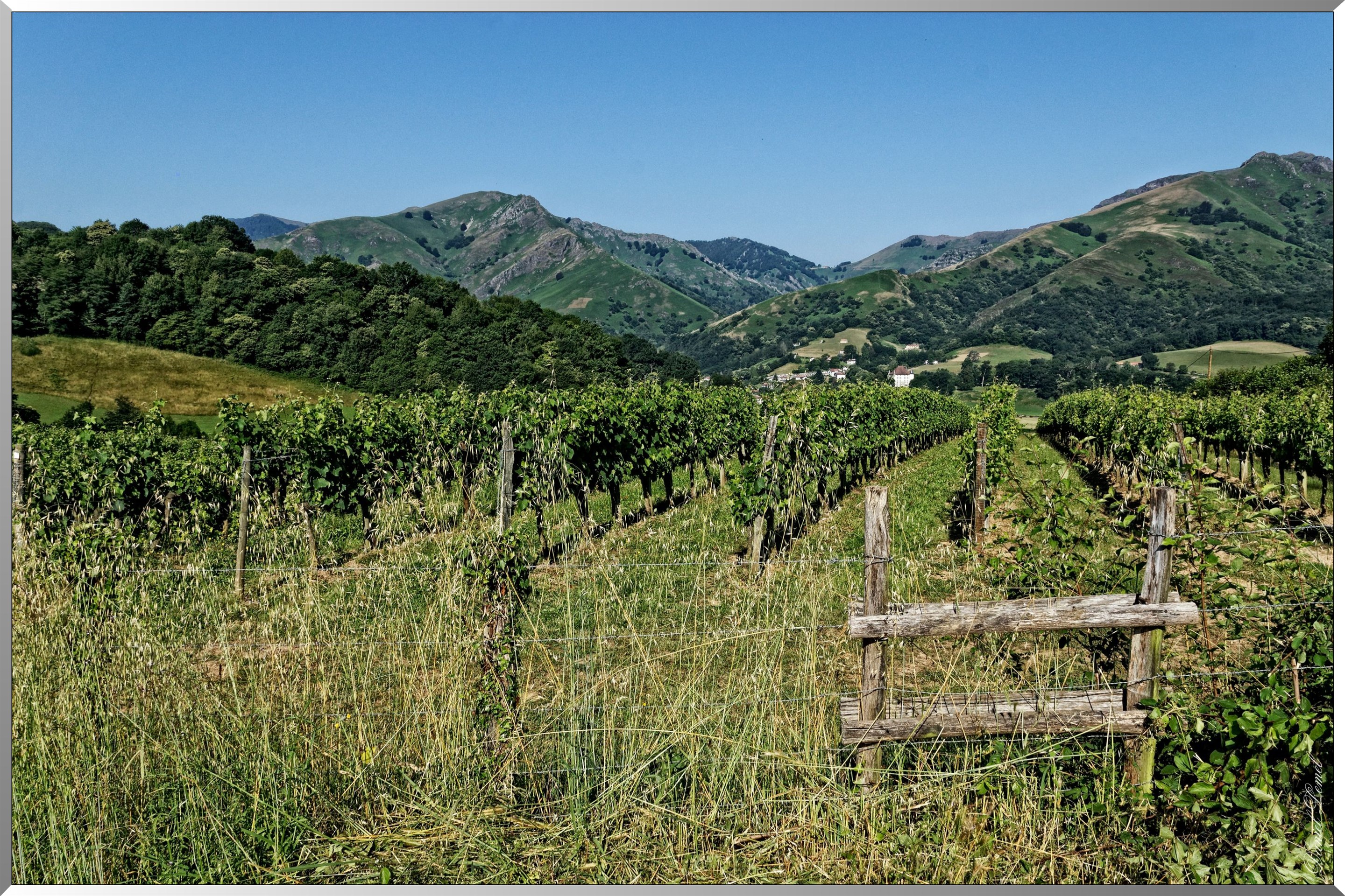 Paysage aux alentours