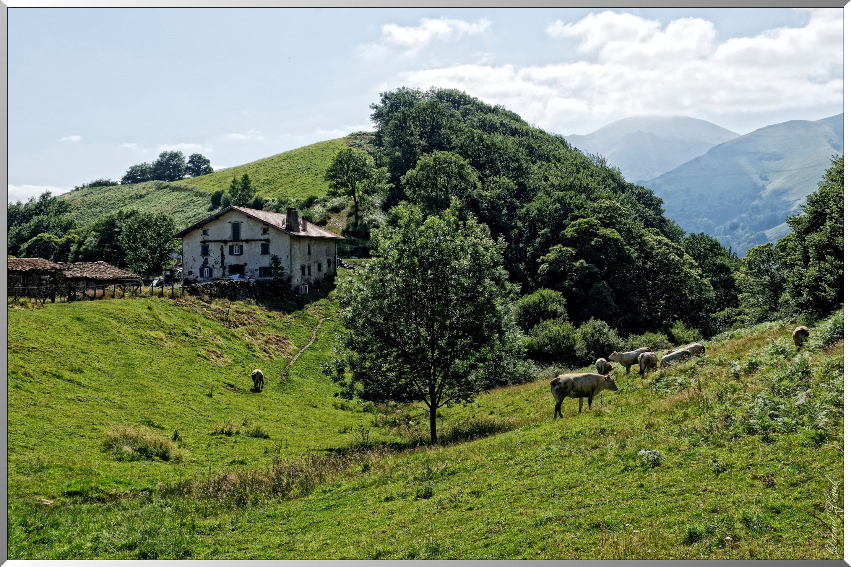 Paysage aux alentours