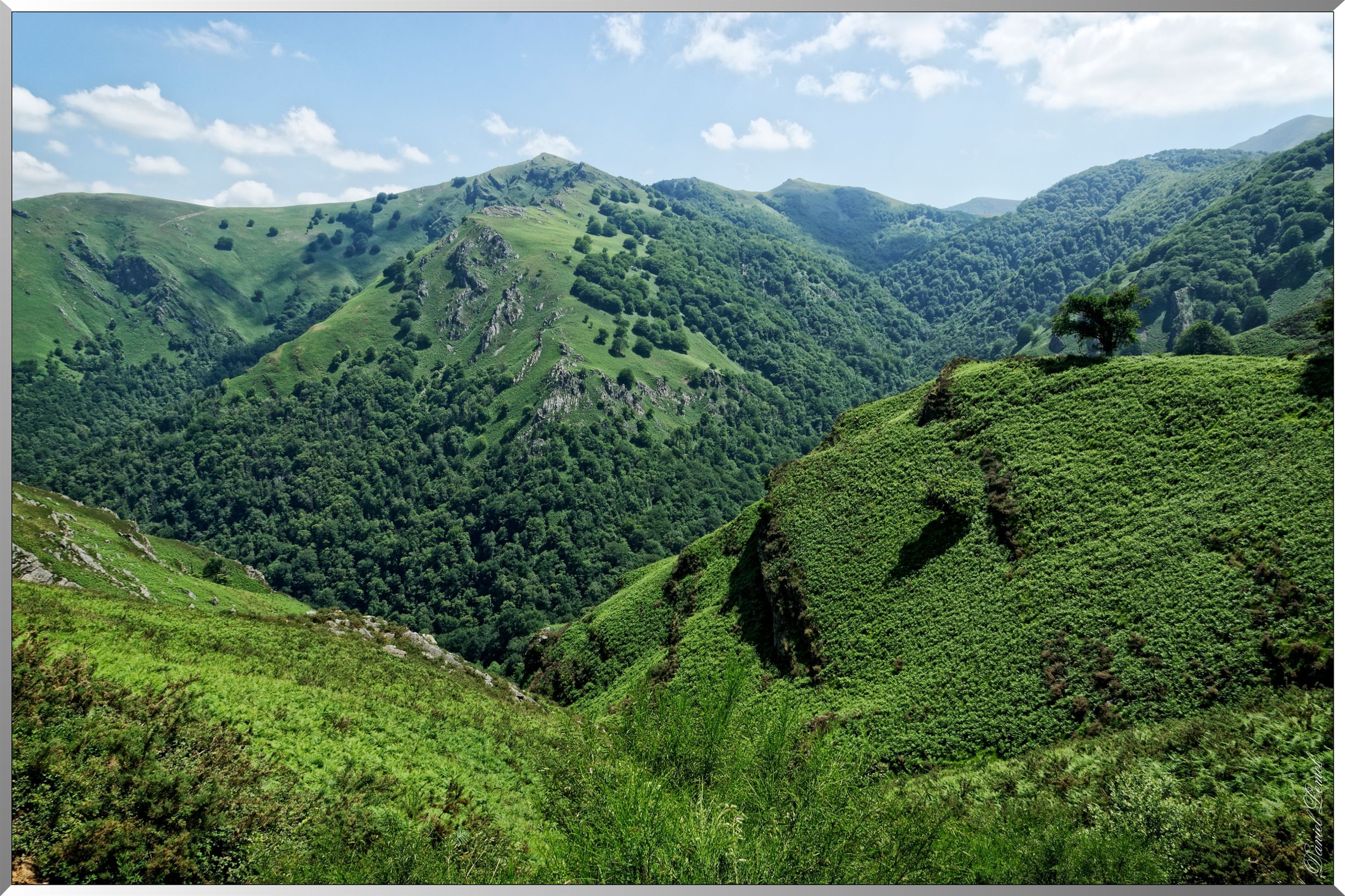 Paysage aux alentours