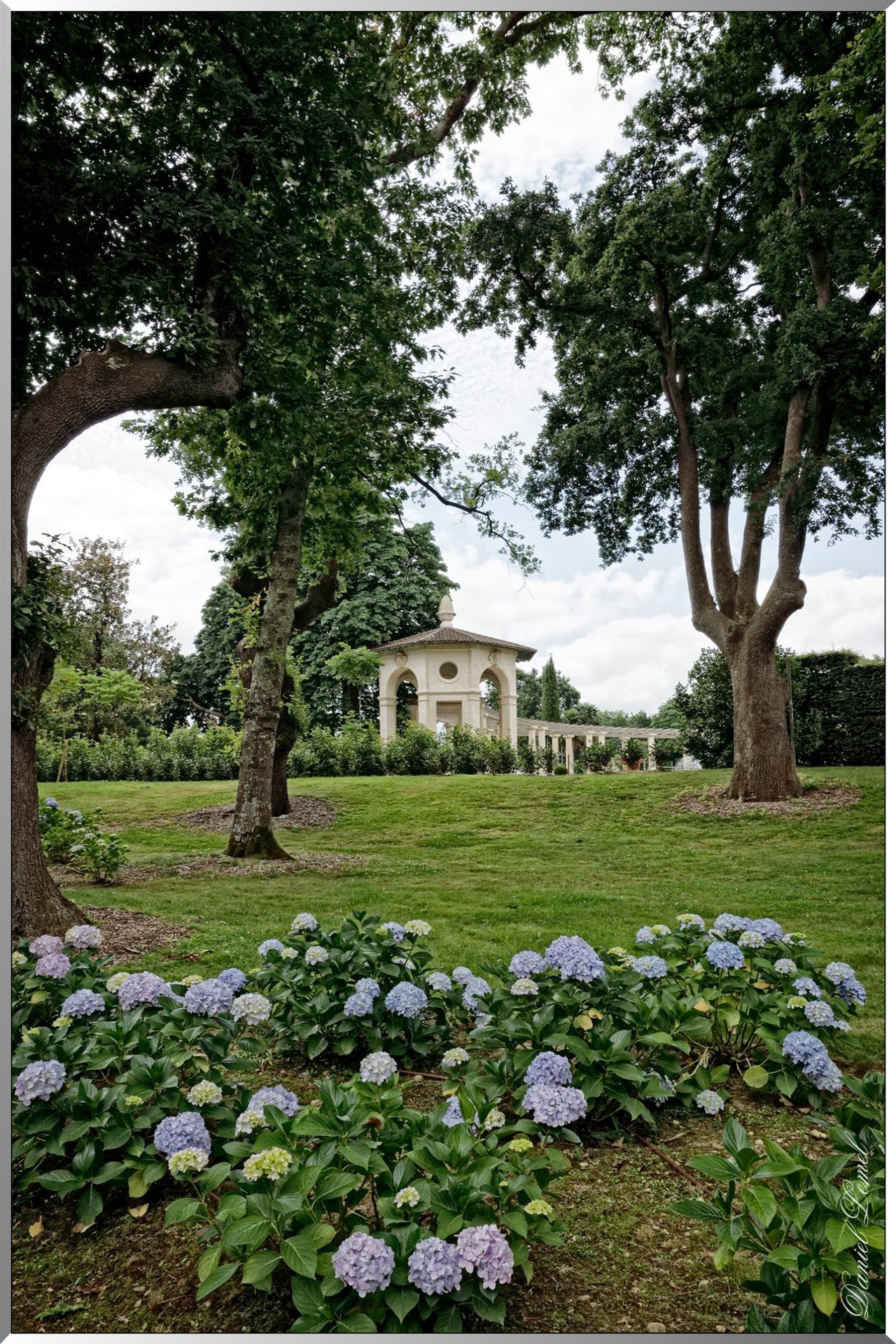 Pergola et Arbre noué