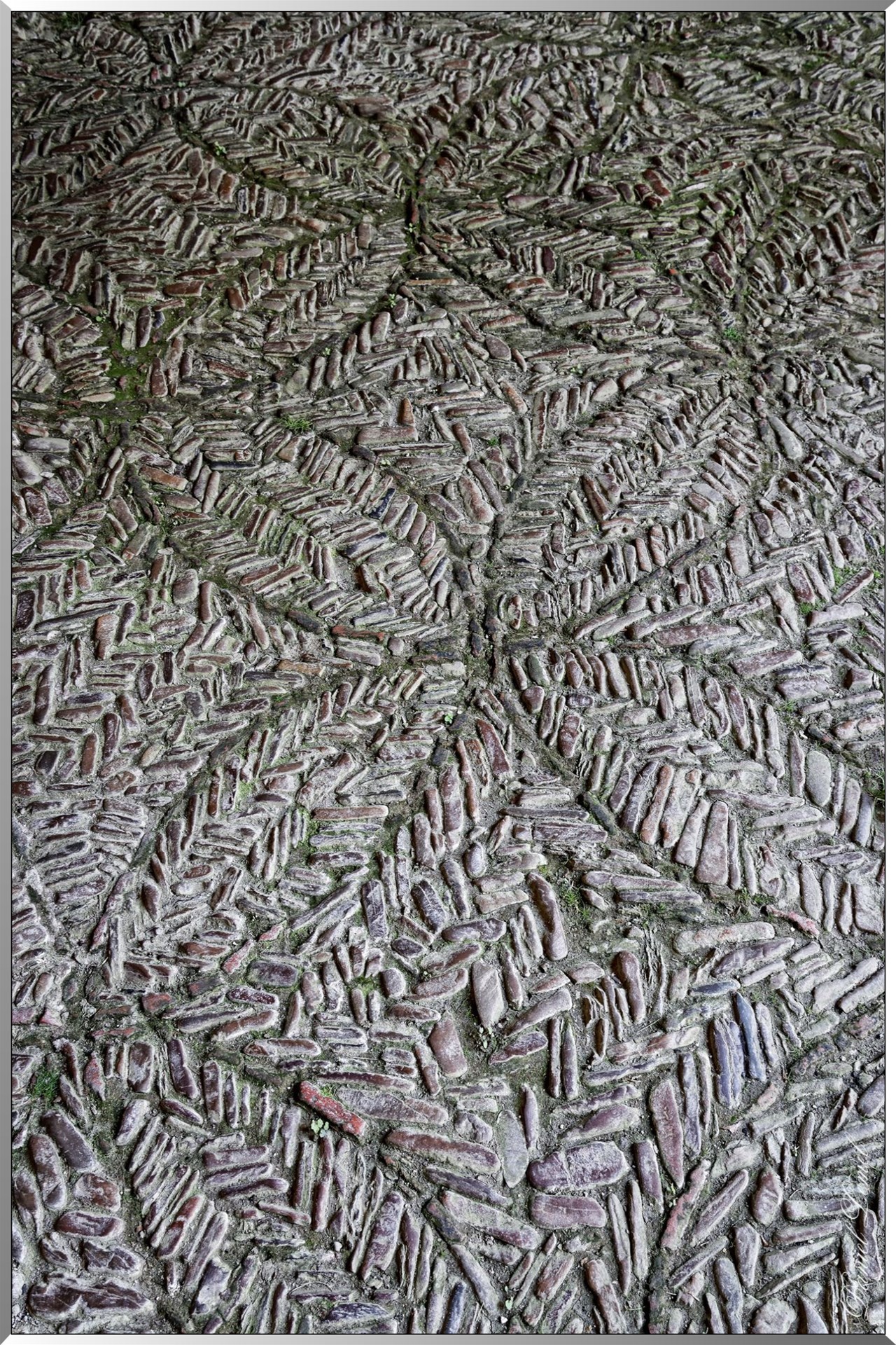 Cloître gothique - Dallage