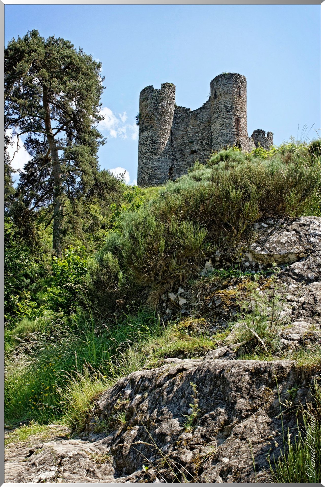 Château d' Alleuze - Nid d' Aigle fortifié