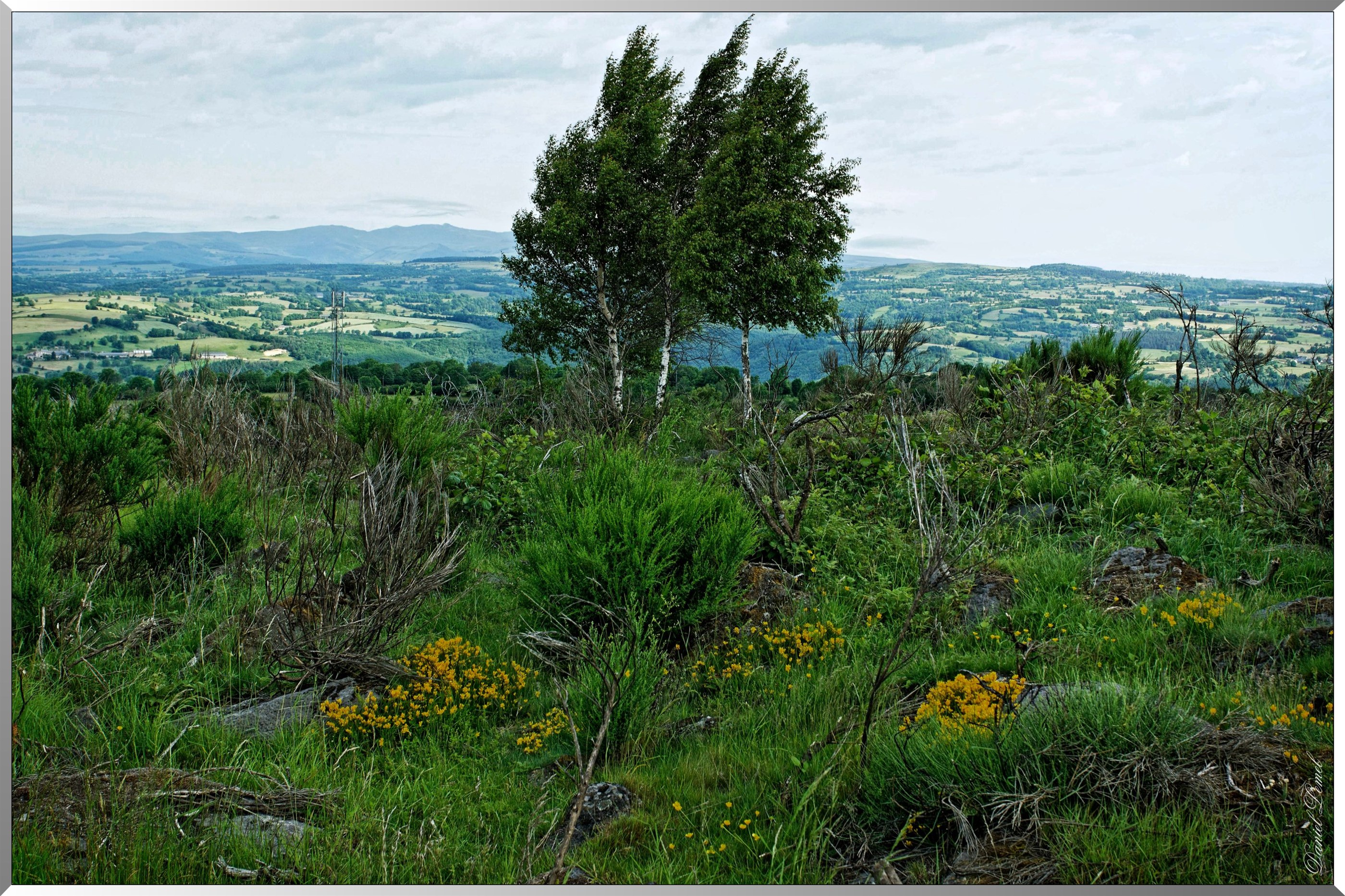 Environ d' Espinasse