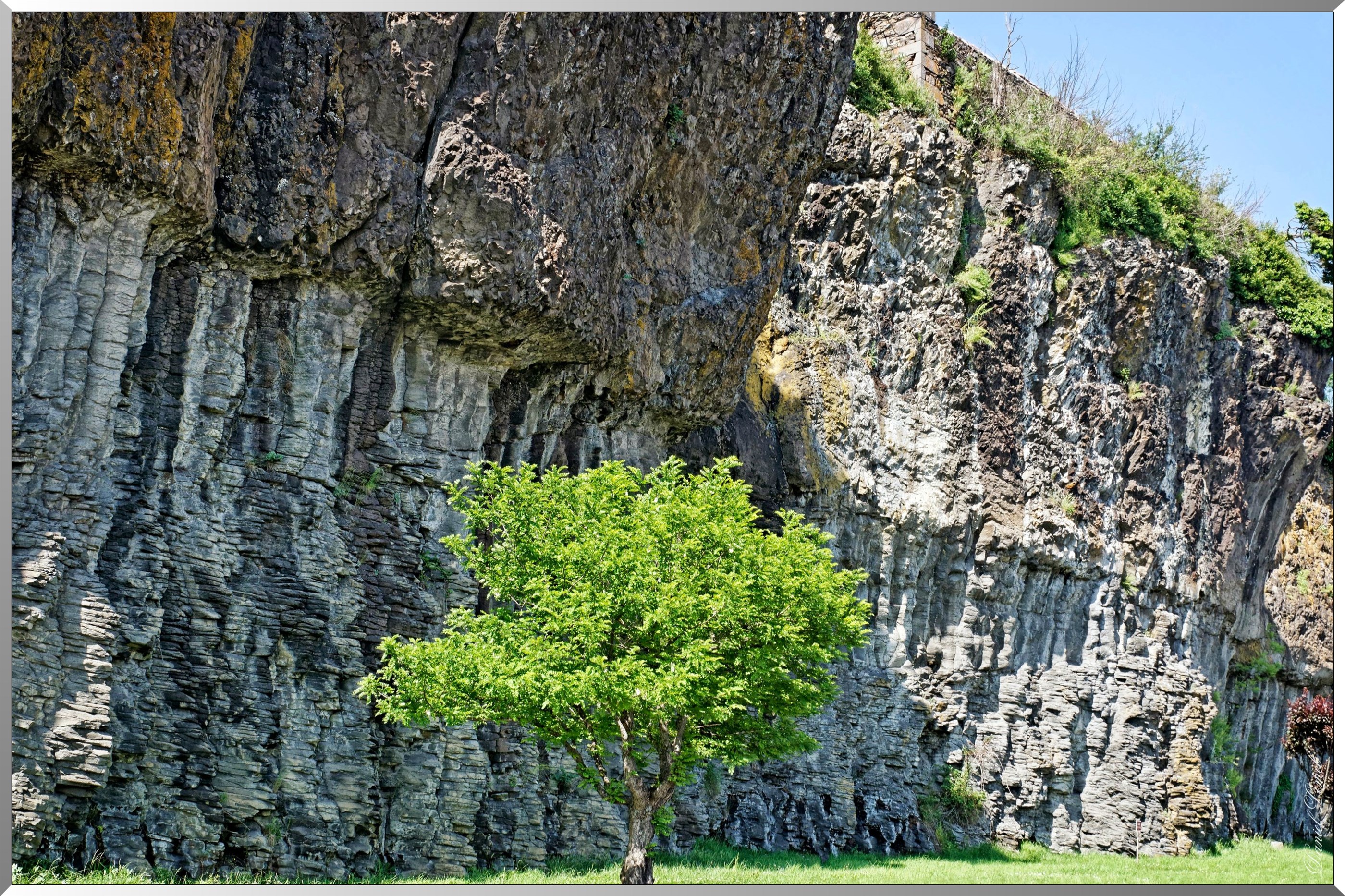 Orgues basaltiques - Saint Flour